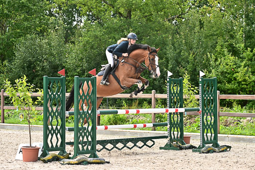 Klein Offenseth  - Hengststation Hell am 28.7.25 | 28072025 Springpferde L _076 