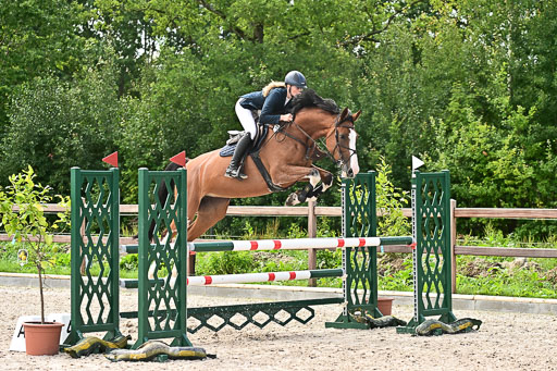 Klein Offenseth  - Hengststation Hell am 28.7.25 | 28072025 Springpferde L _077 