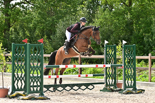 Klein Offenseth  - Hengststation Hell am 28.7.25 | 28072025 Springpferde L _081 