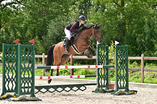 Klein Offenseth  - Hengststation Hell am 28.7.25 | 28072025 Springpferde L _082 