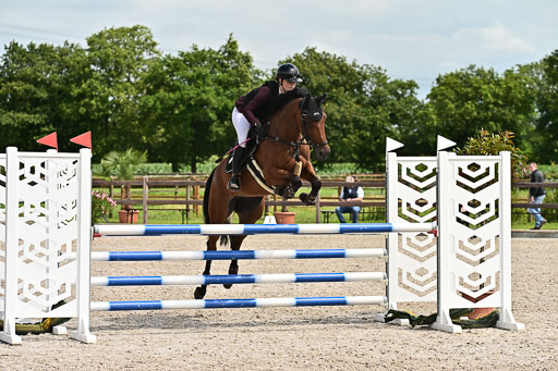 Klein Offenseth  - Hengststation Hell am 28.7.25 | 28072025 Springpferde L _083 