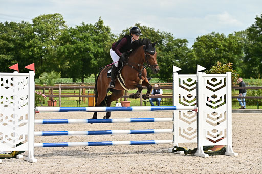 Klein Offenseth  - Hengststation Hell am 28.7.25 | 28072025 Springpferde L _084 