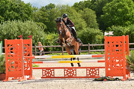 Klein Offenseth  - Hengststation Hell am 28.7.25 | 28072025 Springpferde L _085 