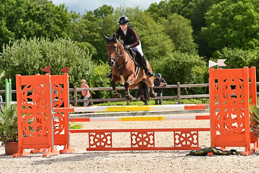 Klein Offenseth  - Hengststation Hell am 28.7.25 | 28072025 Springpferde L _086 