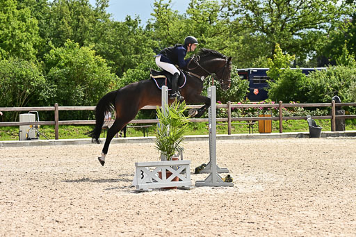 Klein Offenseth  - Hengststation Hell am 28.7.25 | 28072025 Springpferde L _090 