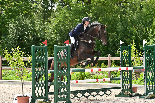 Klein Offenseth  - Hengststation Hell am 28.7.25 | 28072025 Springpferde L _091 