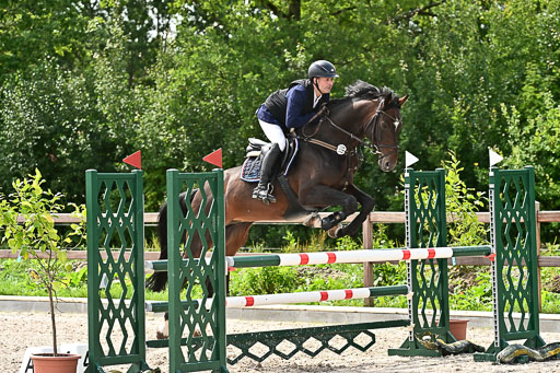 Klein Offenseth  - Hengststation Hell am 28.7.25 | 28072025 Springpferde L _092 