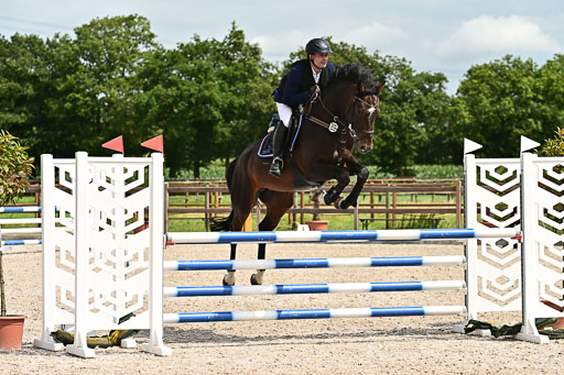 Klein Offenseth  - Hengststation Hell am 28.7.25 | 28072025 Springpferde L _094 