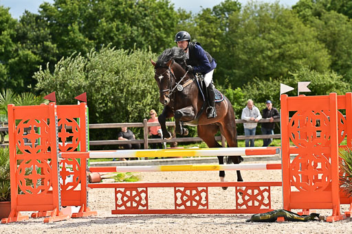 Klein Offenseth  - Hengststation Hell am 28.7.25 | 28072025 Springpferde L _097 