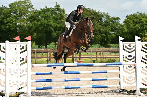 Klein Offenseth  - Hengststation Hell am 28.7.25 | 28072025 Springpferde L _102 