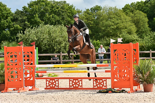 Klein Offenseth  - Hengststation Hell am 28.7.25 | 28072025 Springpferde L _104 