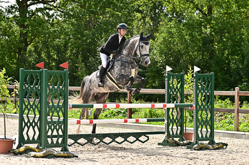 Klein Offenseth  - Hengststation Hell am 28.7.25 | 28072025 Springpferde L _105 