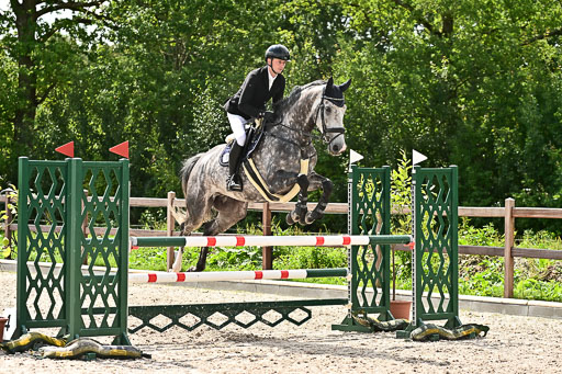 Klein Offenseth  - Hengststation Hell am 28.7.25 | 28072025 Springpferde L _106 