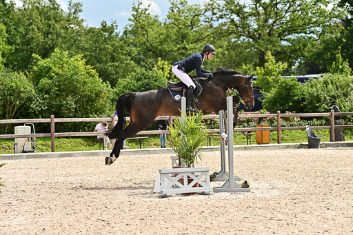 Klein Offenseth  - Hengststation Hell am 28.7.25 | 28072025 Springpferde L _110 