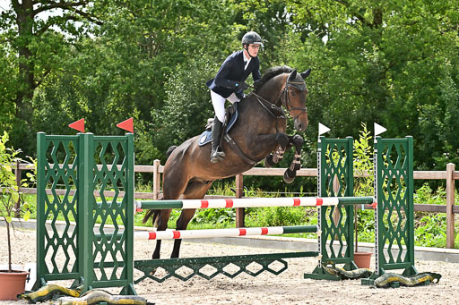 Klein Offenseth  - Hengststation Hell am 28.7.25 | 28072025 Springpferde L _111 