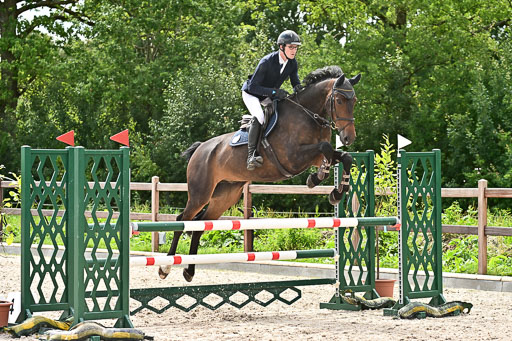 Klein Offenseth  - Hengststation Hell am 28.7.25 | 28072025 Springpferde L _112 