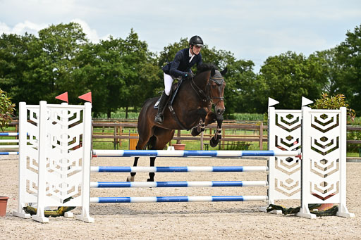 Klein Offenseth  - Hengststation Hell am 28.7.25 | 28072025 Springpferde L _114 