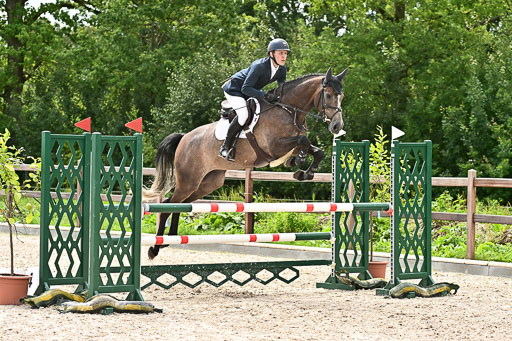 Klein Offenseth  - Hengststation Hell am 28.7.25 | 28072025 Springpferde L _117 