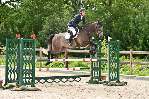 Klein Offenseth  - Hengststation Hell am 28.7.25 | 28072025 Springpferde L _118 