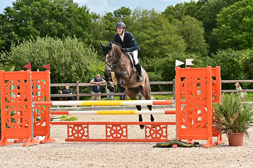 Klein Offenseth  - Hengststation Hell am 28.7.25 | 28072025 Springpferde L _121 