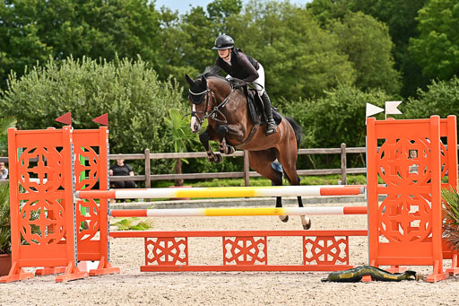 Klein Offenseth  - Hengststation Hell am 28.7.25 | 28072025 Springpferde L _127 