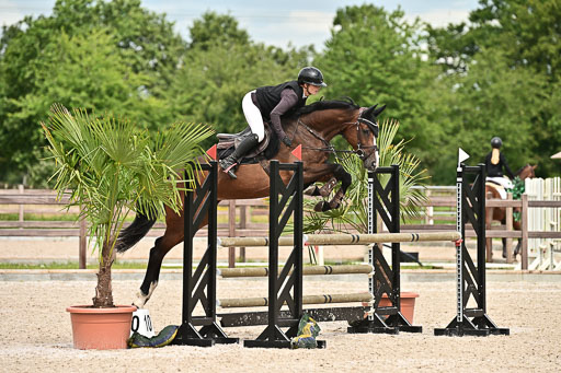 Klein Offenseth  - Hengststation Hell am 28.7.25 | 28072025 Springpferde L _129 