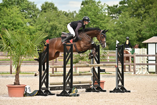 Klein Offenseth  - Hengststation Hell am 28.7.25 | 28072025 Springpferde L _130 