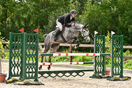 Klein Offenseth  - Hengststation Hell am 28.7.25 | 28072025 Springpferde L _131 