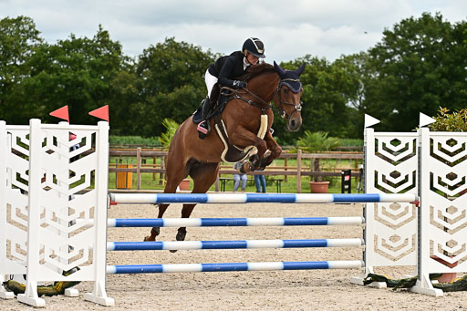 Klein Offenseth  - Hengststation Hell am 28.7.25 | 28072025 Springpferde L _141 