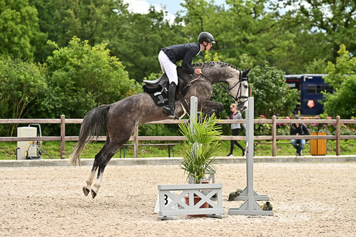 Klein Offenseth  - Hengststation Hell am 28.7.25 | 28072025 Springpferde L _149 