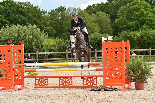 Klein Offenseth  - Hengststation Hell am 28.7.25 | 28072025 Springpferde L _155 