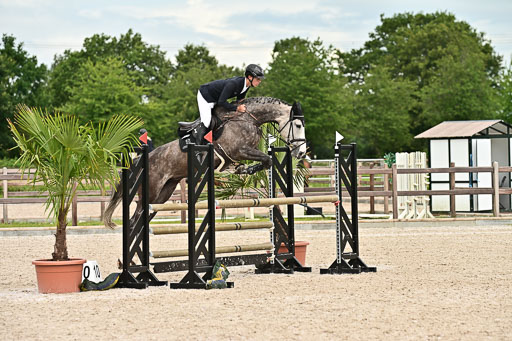 Klein Offenseth  - Hengststation Hell am 28.7.25 | 28072025 Springpferde L _157 