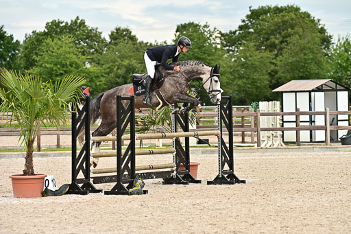 Klein Offenseth  - Hengststation Hell am 28.7.25 | 28072025 Springpferde L _158 