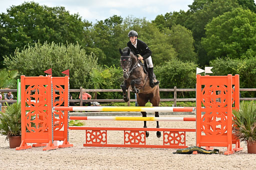 Klein Offenseth  - Hengststation Hell am 28.7.25 | 28072025 Springpferde L _168 