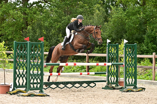 Klein Offenseth  - Hengststation Hell am 28.7.25 | 28072025 Springpferde L _171 