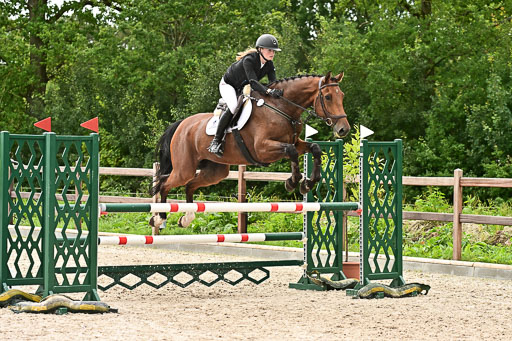 Klein Offenseth  - Hengststation Hell am 28.7.25 | 28072025 Springpferde L _173 