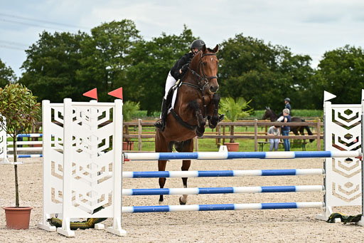 Klein Offenseth  - Hengststation Hell am 28.7.25 | 28072025 Springpferde L _174 