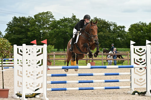 Klein Offenseth  - Hengststation Hell am 28.7.25 | 28072025 Springpferde L _175 