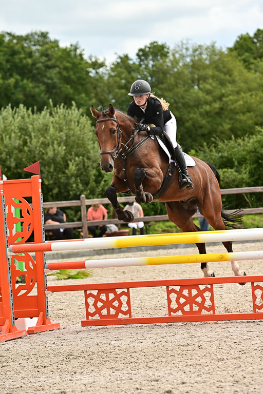 Klein Offenseth  - Hengststation Hell am 28.7.25 | 28072025 Springpferde L _177 