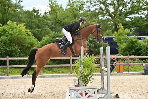 Klein Offenseth  - Hengststation Hell am 28.7.25 | 28072025 Springpferde L _179 