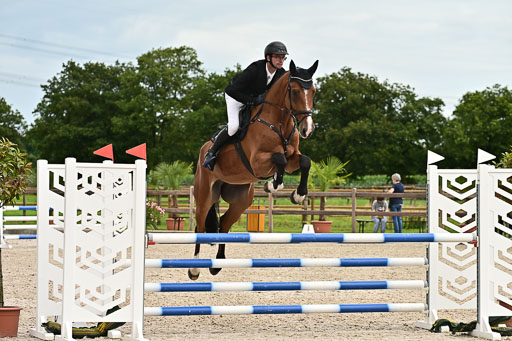 Klein Offenseth  - Hengststation Hell am 28.7.25 | 28072025 Springpferde L _181 