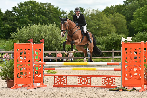 Klein Offenseth  - Hengststation Hell am 28.7.25 | 28072025 Springpferde L _183 