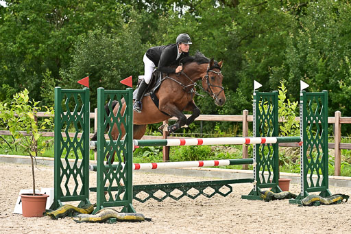 Klein Offenseth  - Hengststation Hell am 28.7.25 | 28072025 Springpferde L _184 