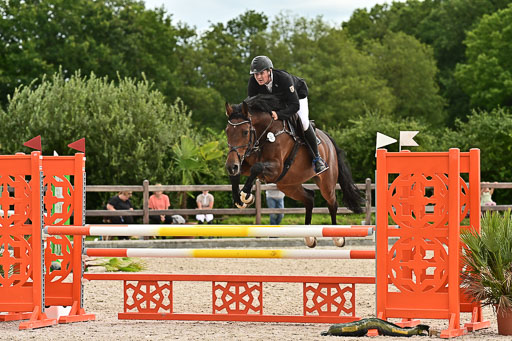 Klein Offenseth  - Hengststation Hell am 28.7.25 | 28072025 Springpferde L _189 