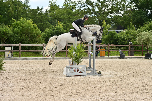 Klein Offenseth  - Hengststation Hell am 28.7.25 | 28072025 Springpferde L _190 