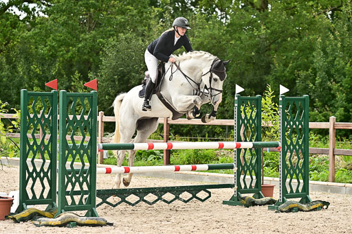 Klein Offenseth  - Hengststation Hell am 28.7.25 | 28072025 Springpferde L _192 