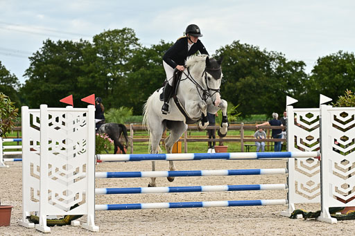 Klein Offenseth  - Hengststation Hell am 28.7.25 | 28072025 Springpferde L _194 