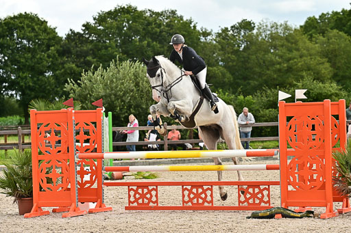 Klein Offenseth  - Hengststation Hell am 28.7.25 | 28072025 Springpferde L _195 