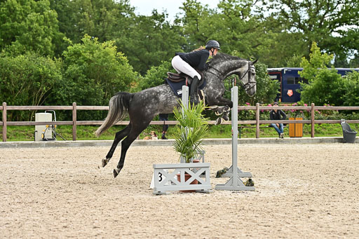 Klein Offenseth  - Hengststation Hell am 28.7.25 | 28072025 Springpferde L _198 