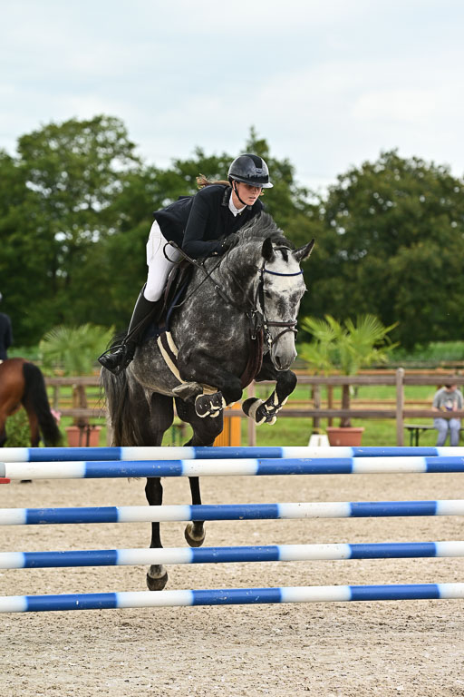 Klein Offenseth  - Hengststation Hell am 28.7.25 | 28072025 Springpferde L _200 